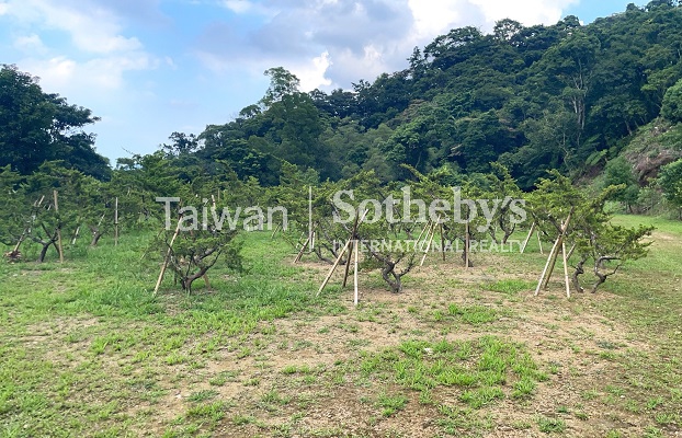 石碇月扇湖山林地現場實景